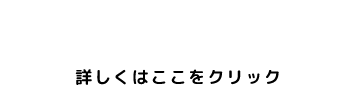 特設採用サイト